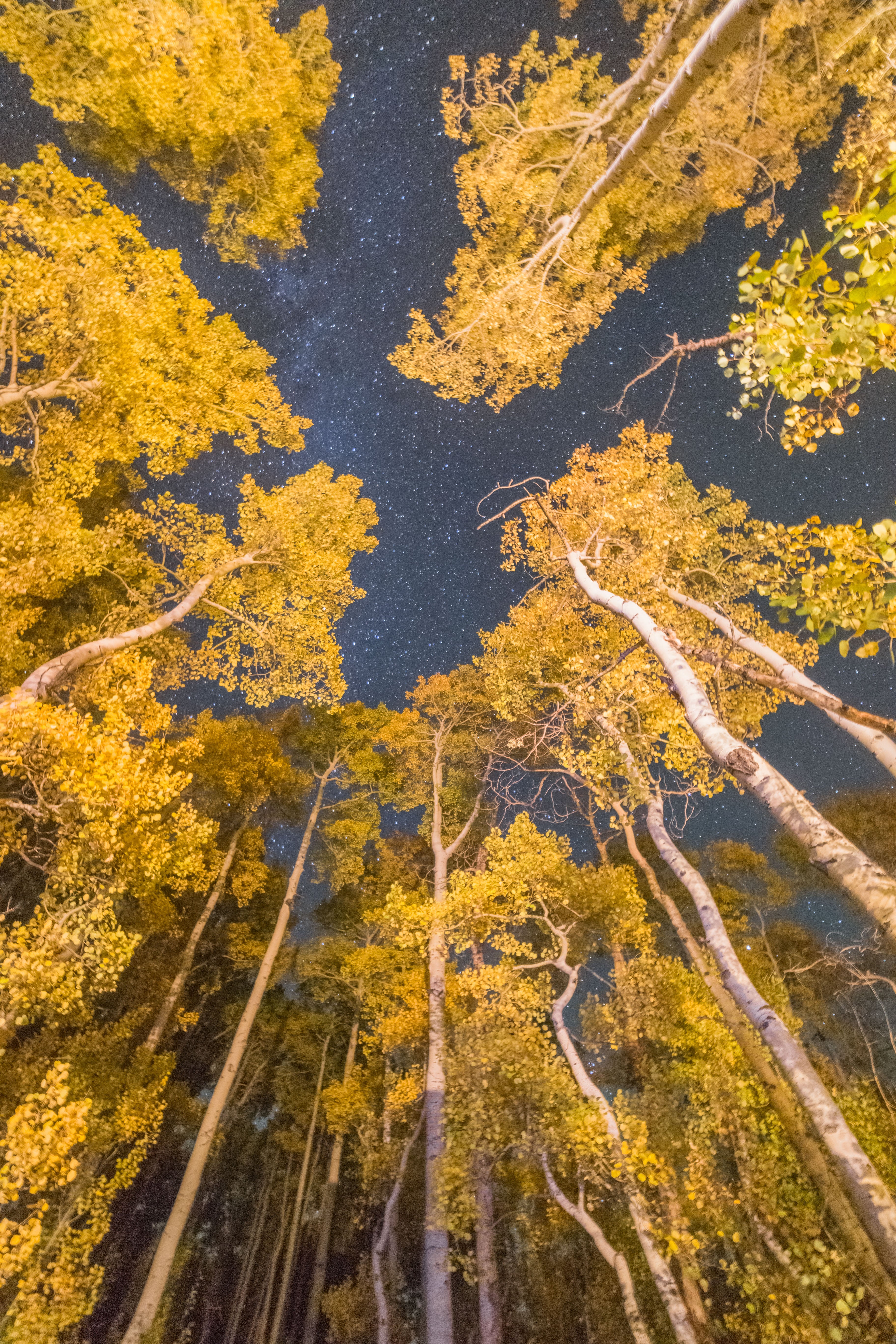 First Friday June Featuring: Photographer Ben Banet
