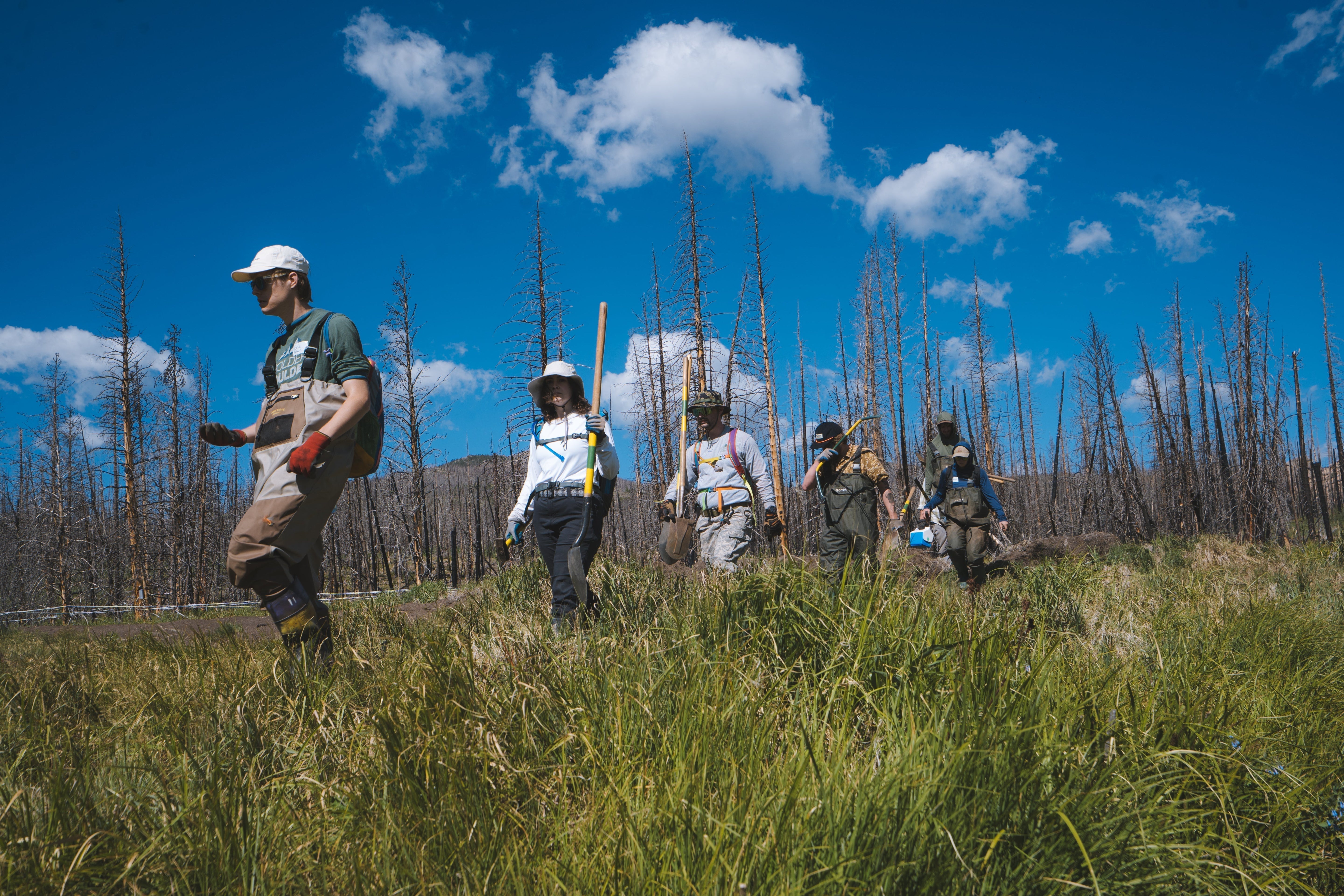 Adventure With Purpose: Bringing Back the Beaver