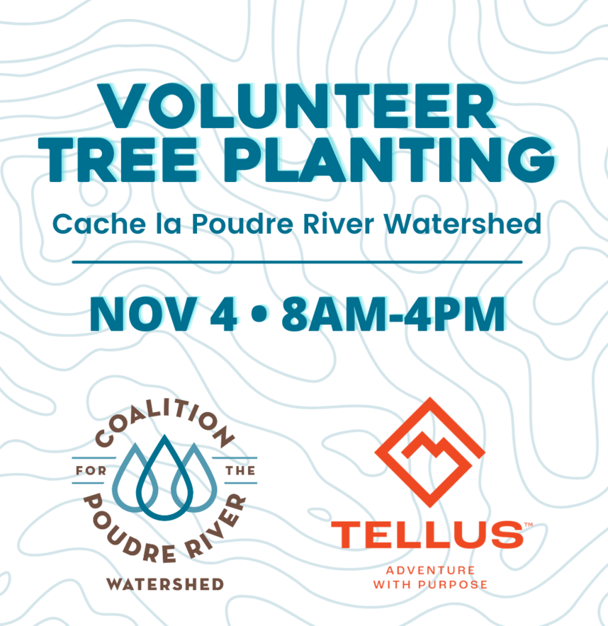 Volunteer Tree Planting - November 4