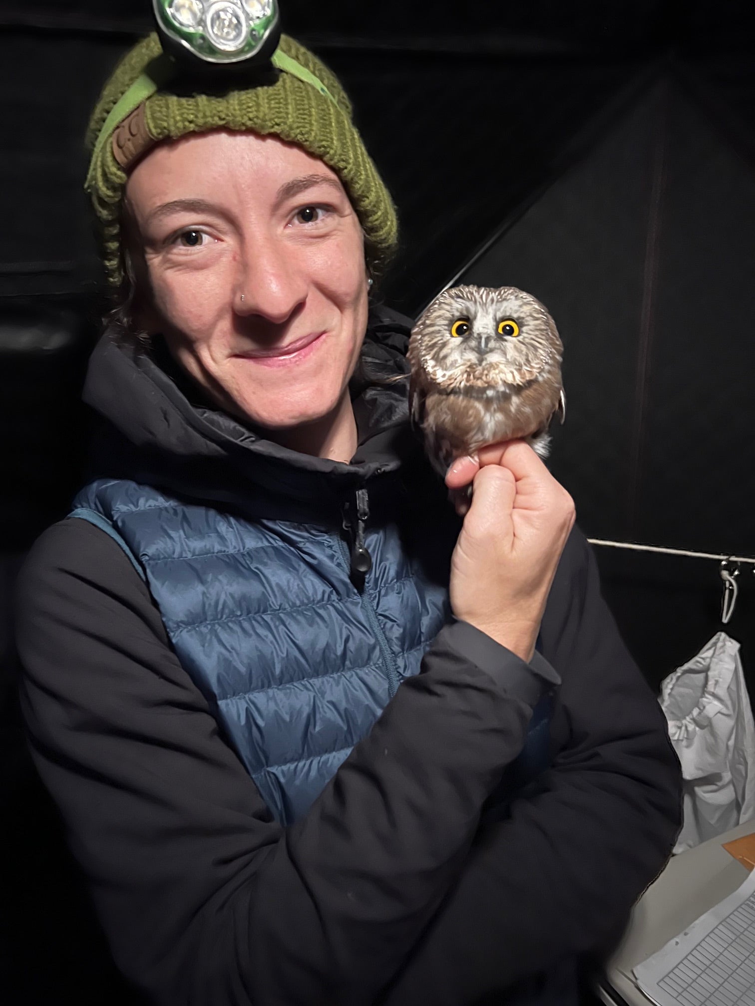 A person wearing a green knit beanie and a blue puffer vest holds a small owl on their gloved hand against a dark background.