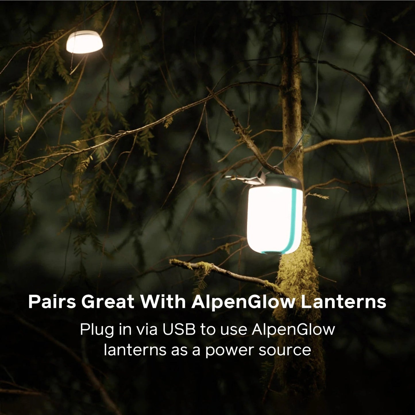 SiteLightString_Lifestyle_Carousel_3_jpg.webp