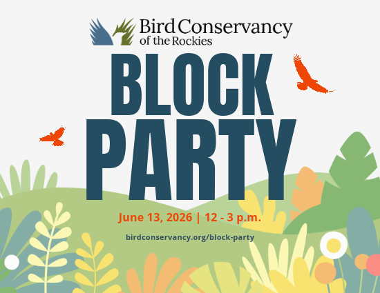 BCR Block Party