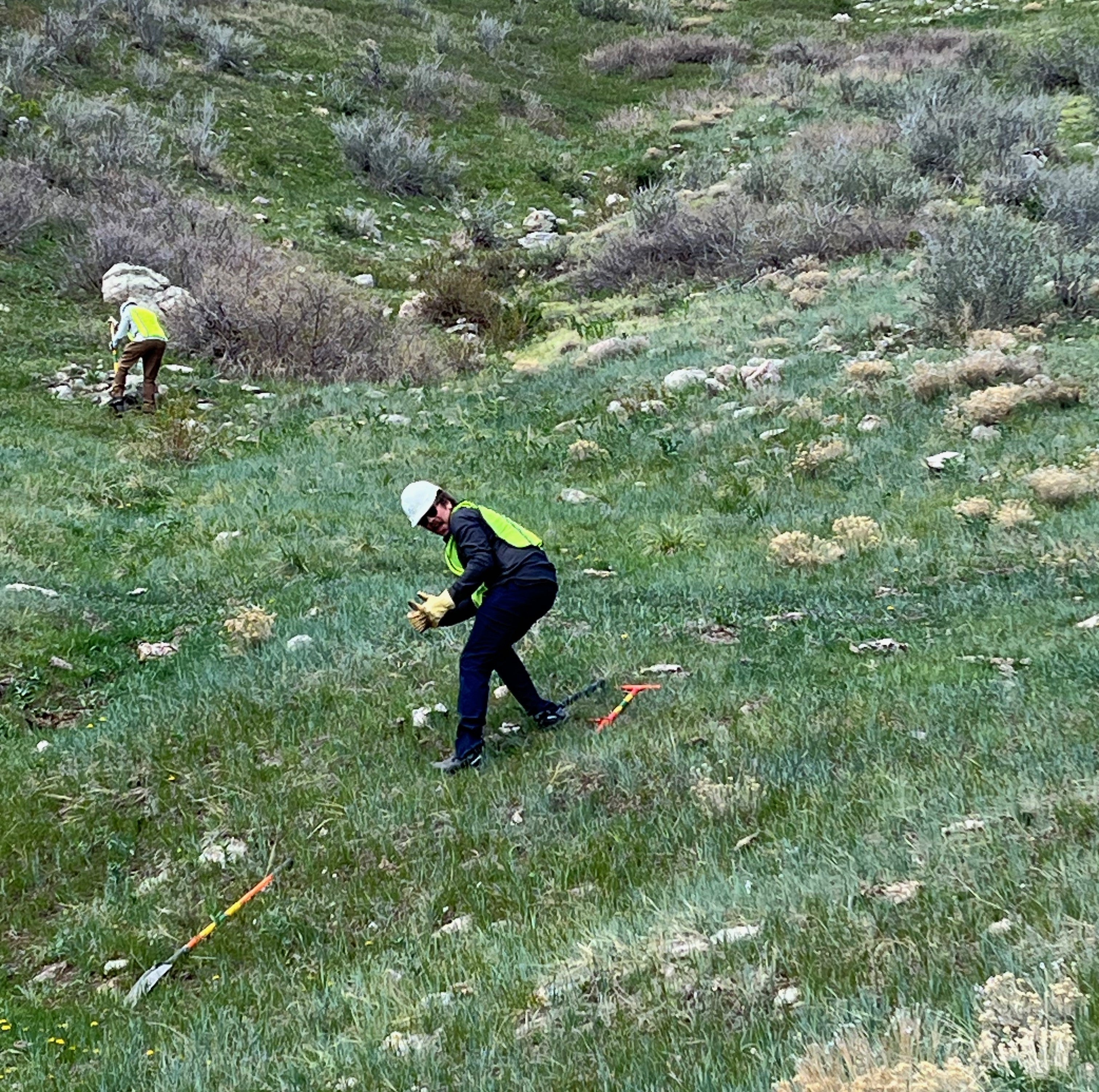 Cameron Peak Fire Tree Planting Event 