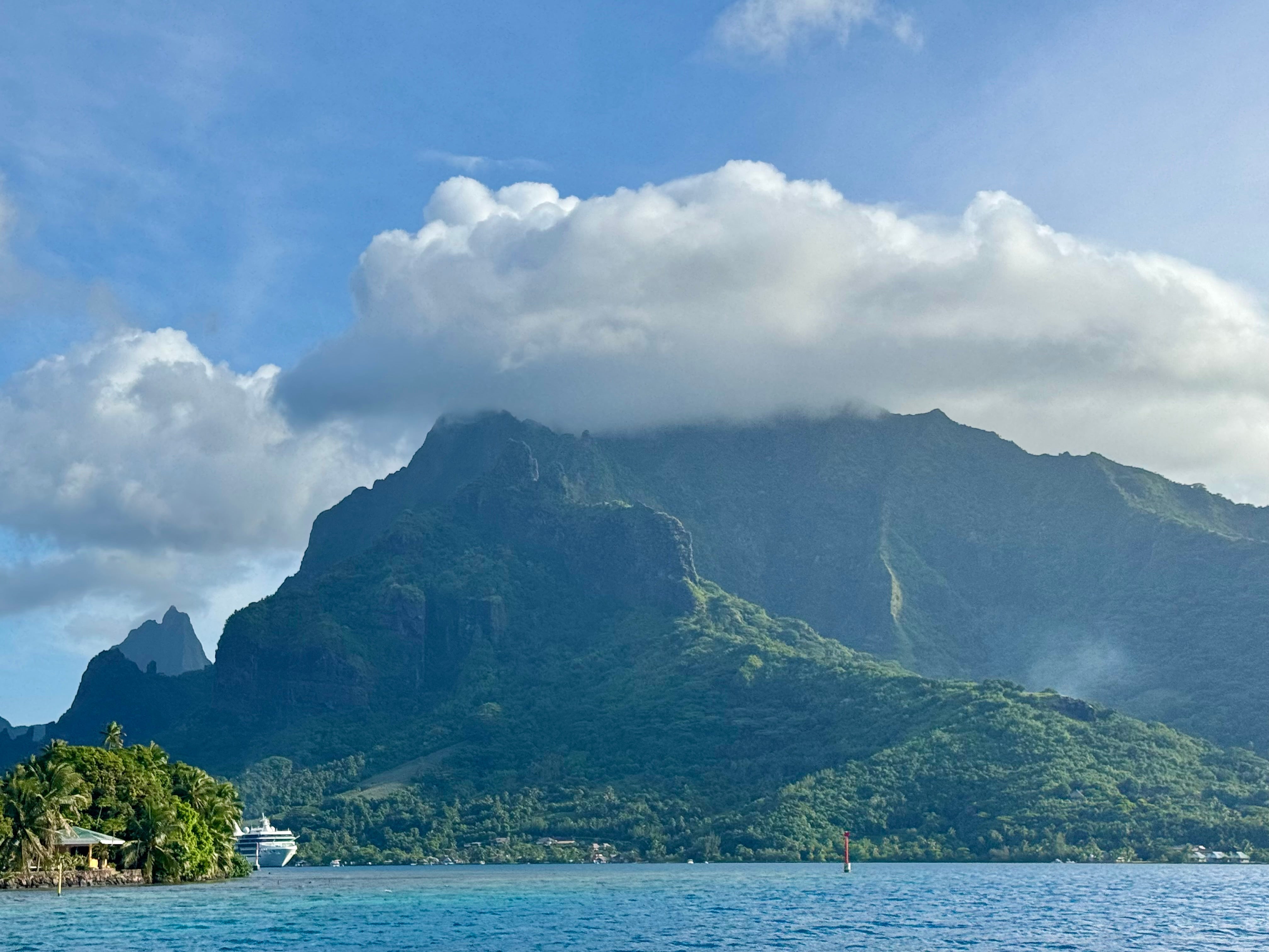 Adventure With Purpose: The Coral Gardeners of Mo’orea