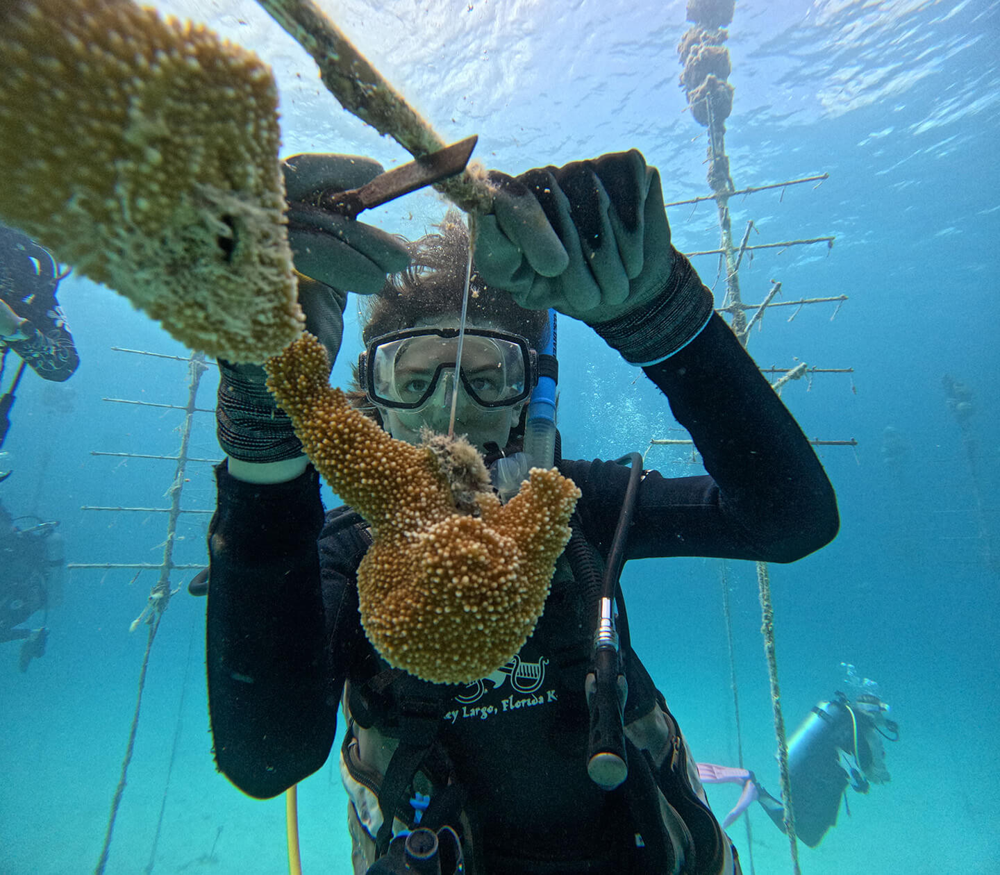 Exploring the Depths: A Journey with the Colorado Coralition