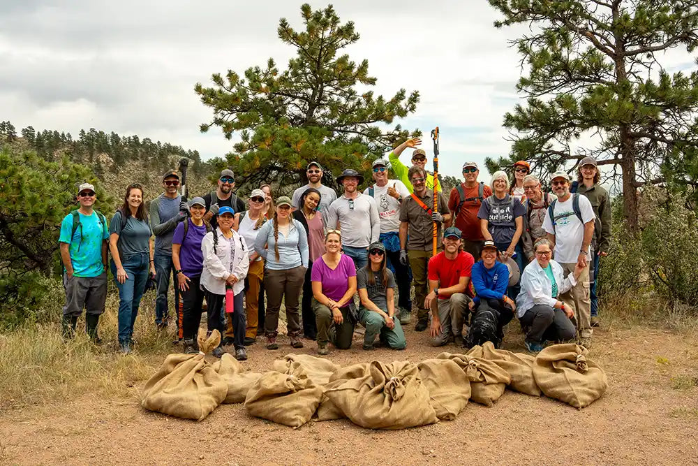 Cone Collection for Active Reforestation